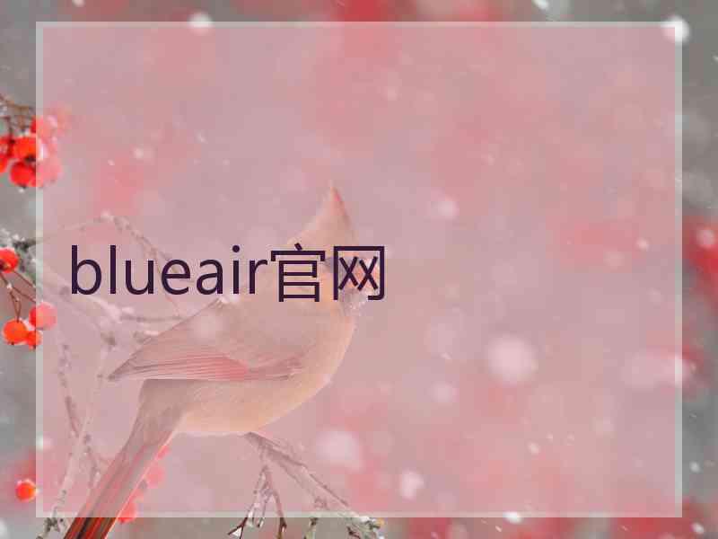 blueair官网