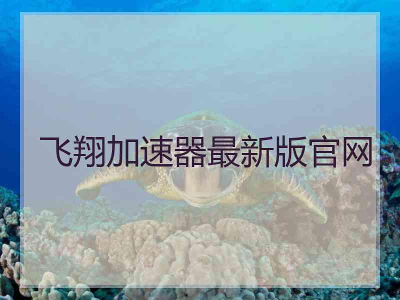 飞翔加速器最新版官网
