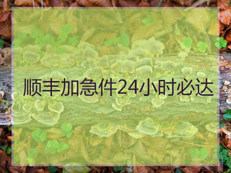 顺丰加急件24小时必达