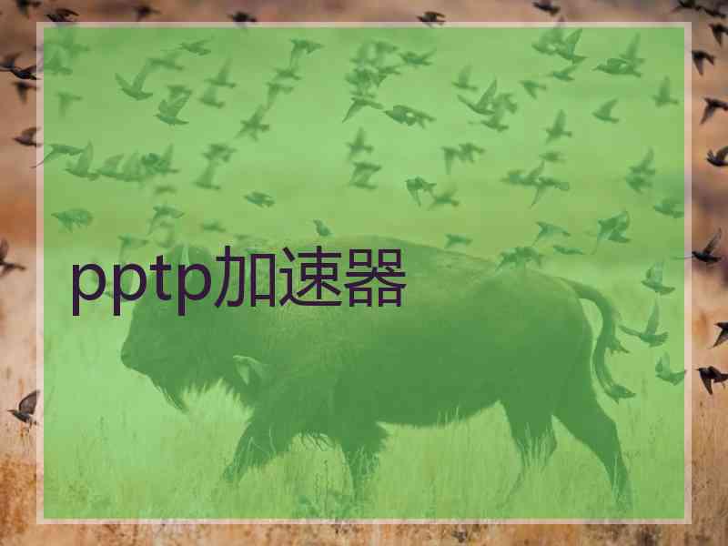 pptp加速器