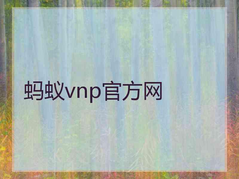 蚂蚁vnp官方网