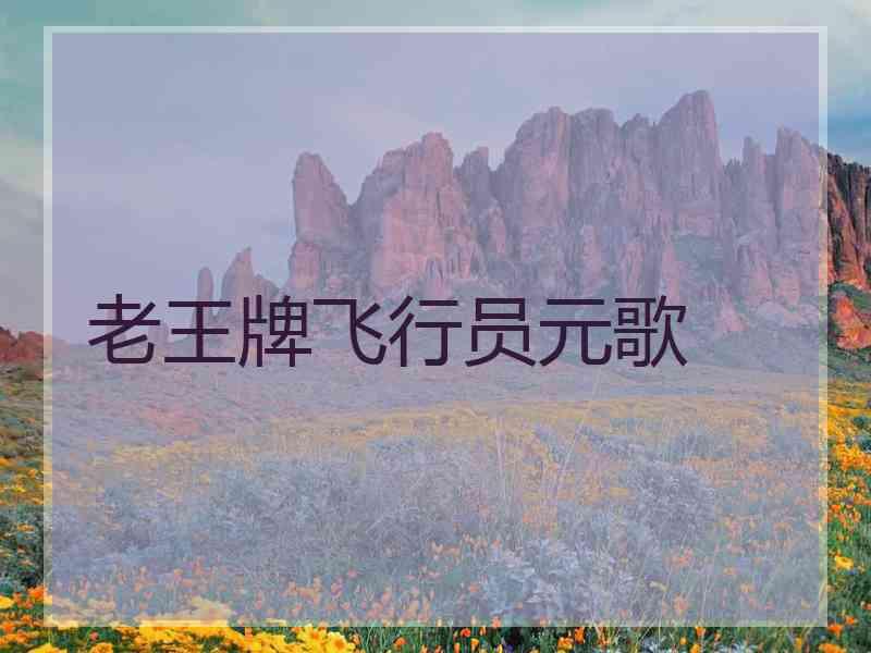老王牌飞行员元歌
