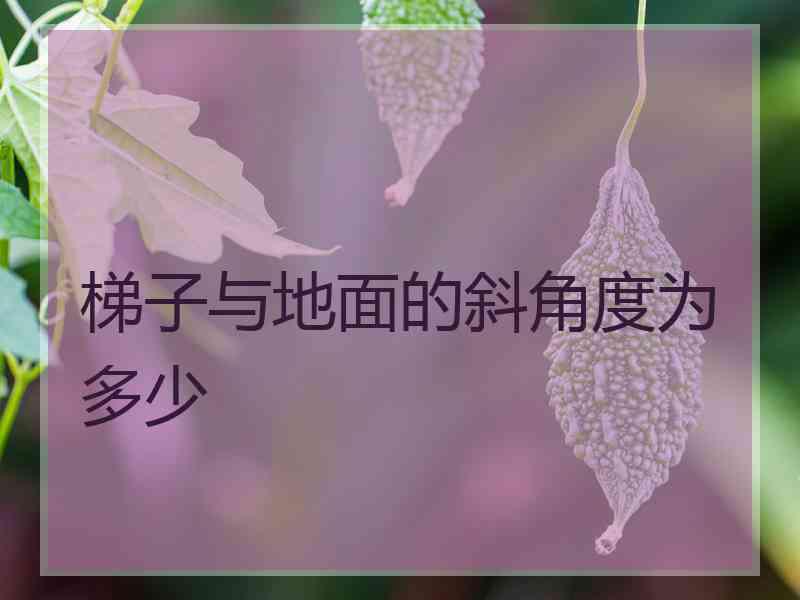 梯子与地面的斜角度为多少