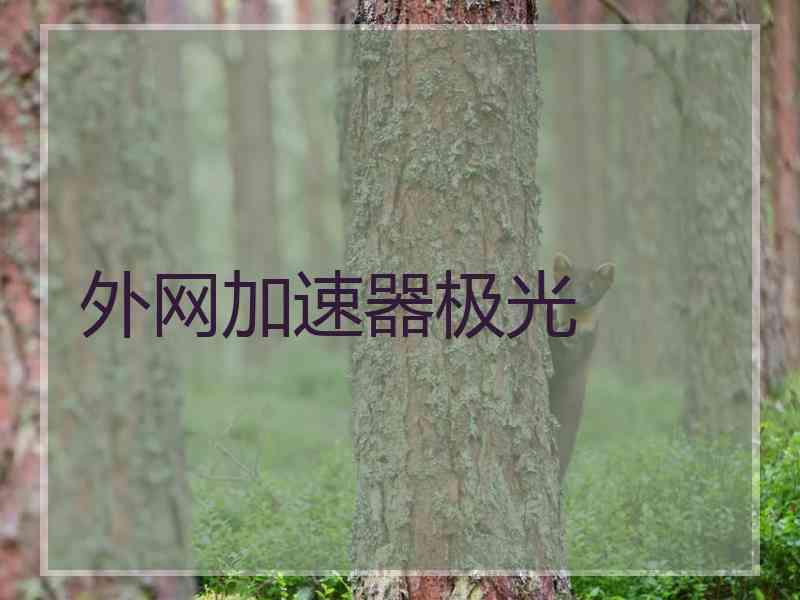 外网加速器极光