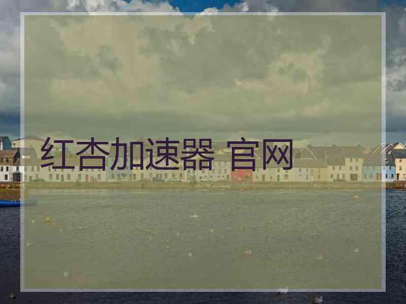 红杏加速器 官网