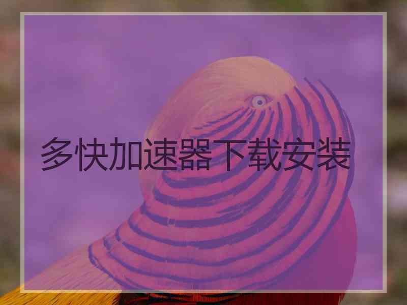 多快加速器下载安装