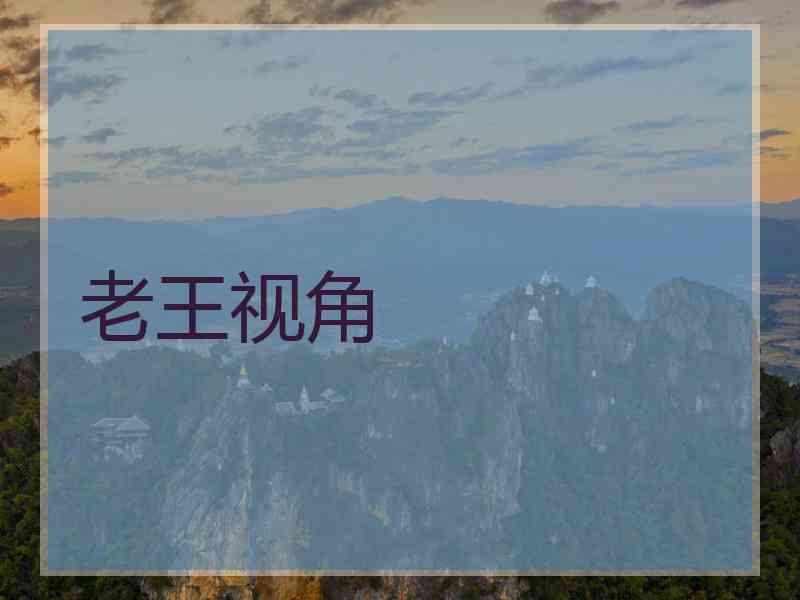 老王视角