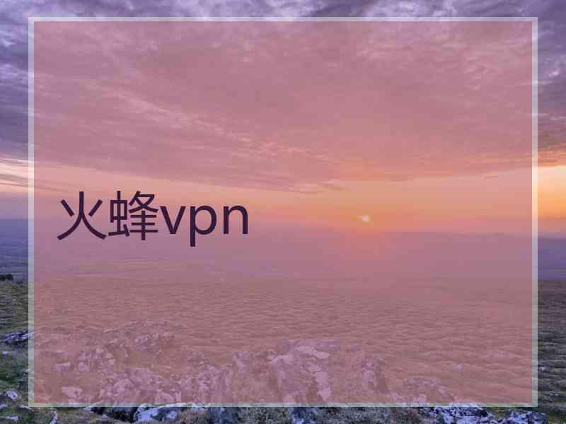 火蜂vpn