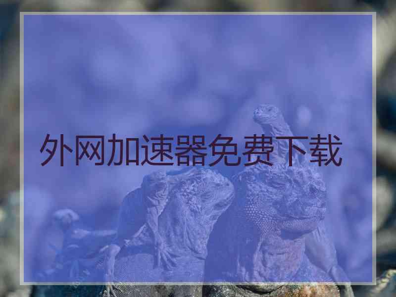 外网加速器免费下载