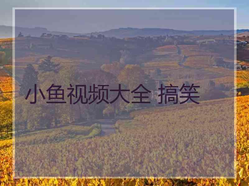 小鱼视频大全 搞笑