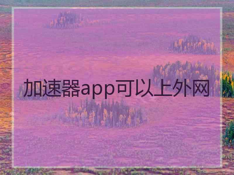 加速器app可以上外网