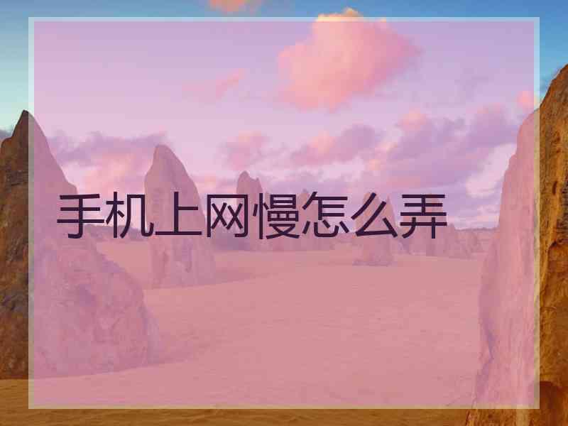 手机上网慢怎么弄