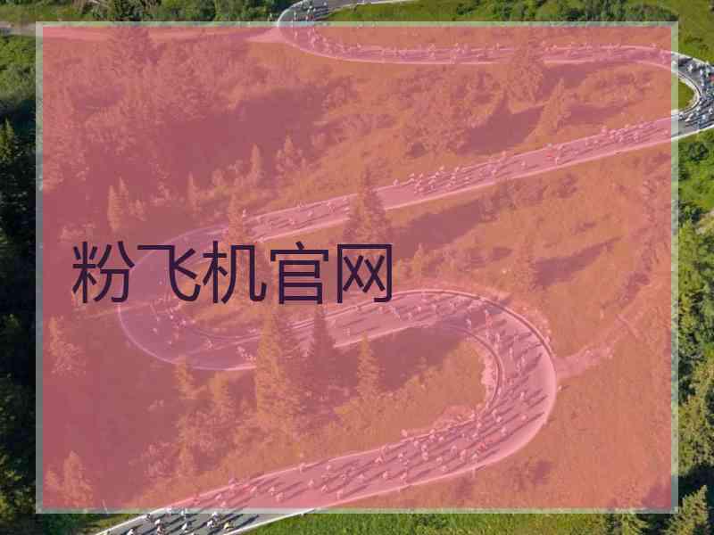 粉飞机官网