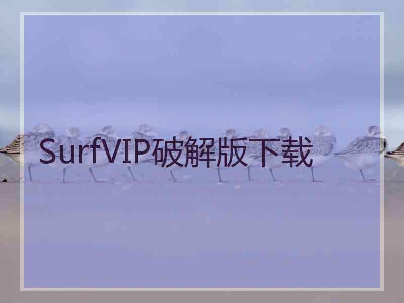 SurfVIP破解版下载