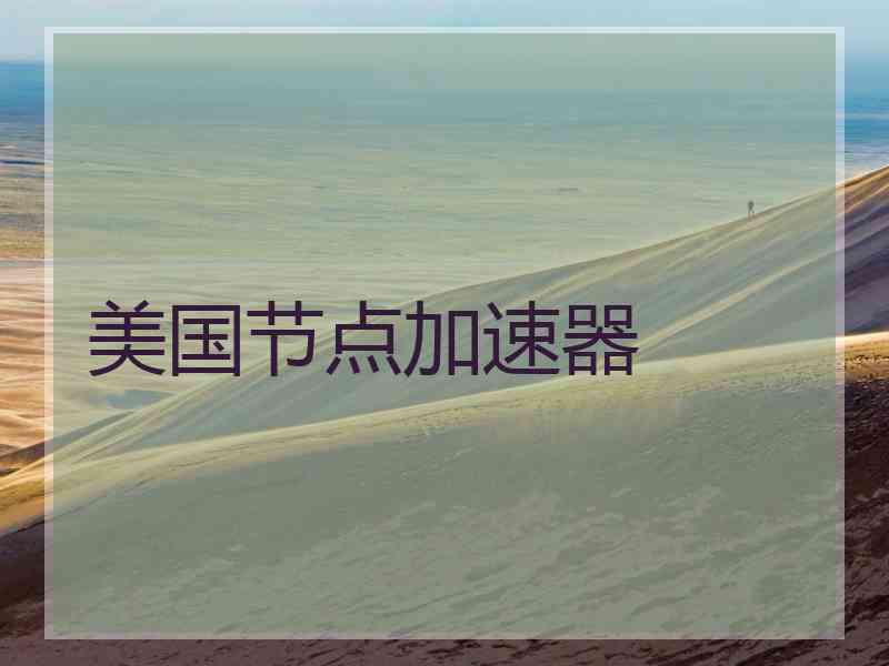 美国节点加速器