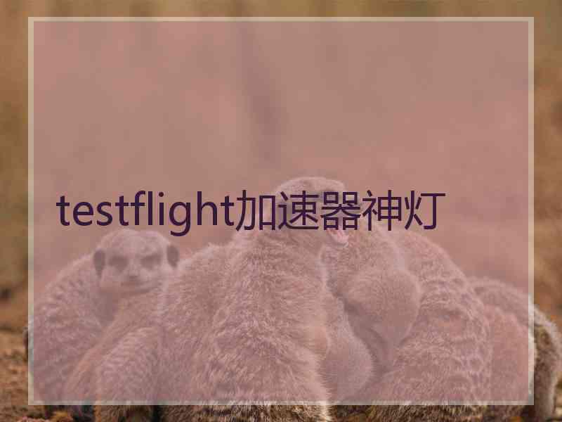 testflight加速器神灯