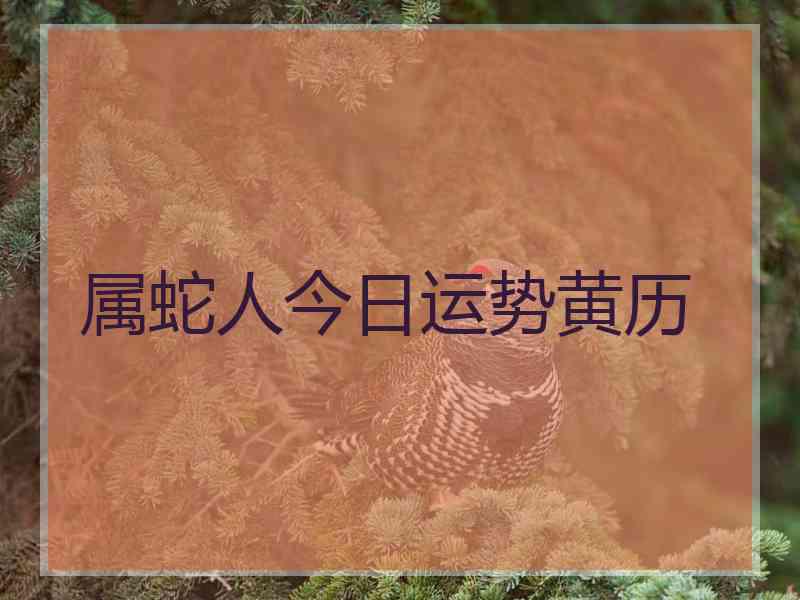属蛇人今日运势黄历