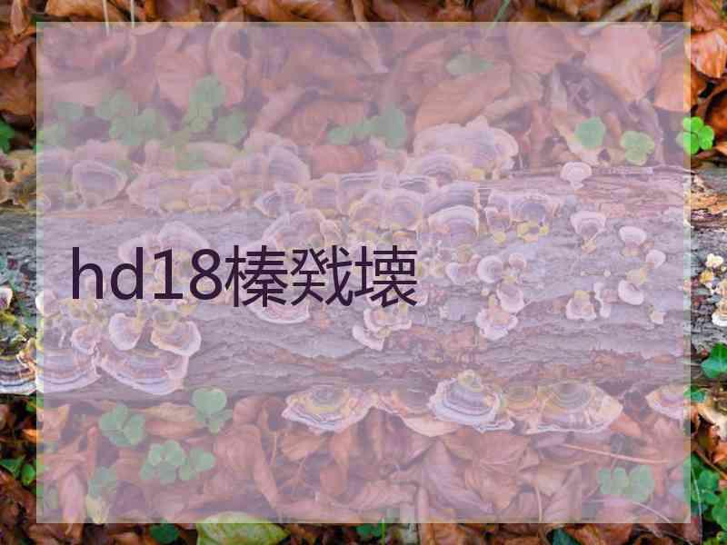 hd18榛戣壊