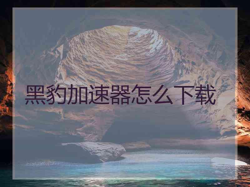 黑豹加速器怎么下载
