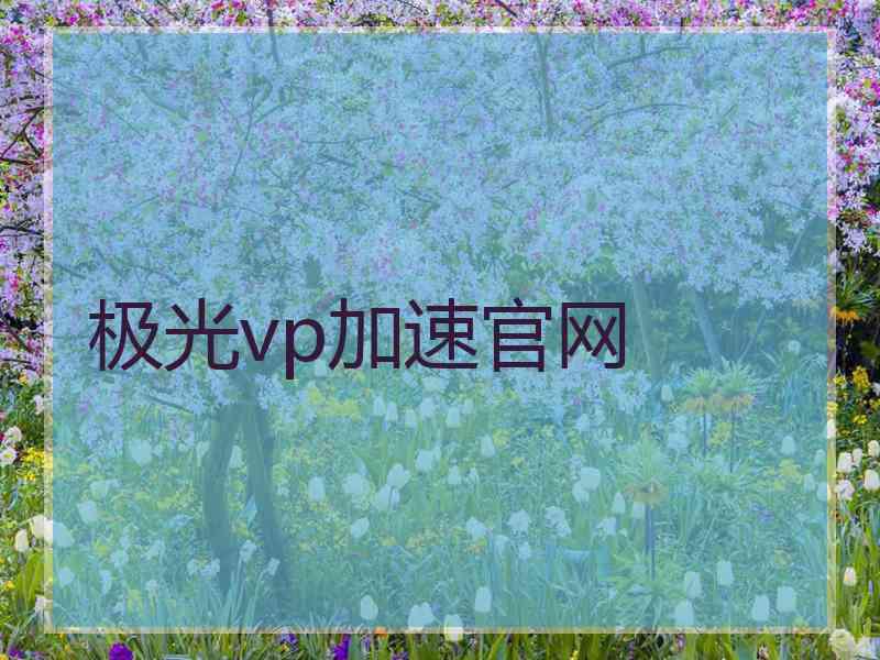 极光vp加速官网