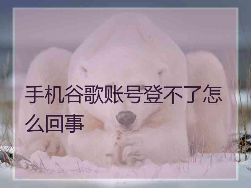 手机谷歌账号登不了怎么回事