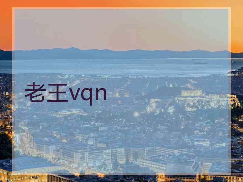 老王vqn