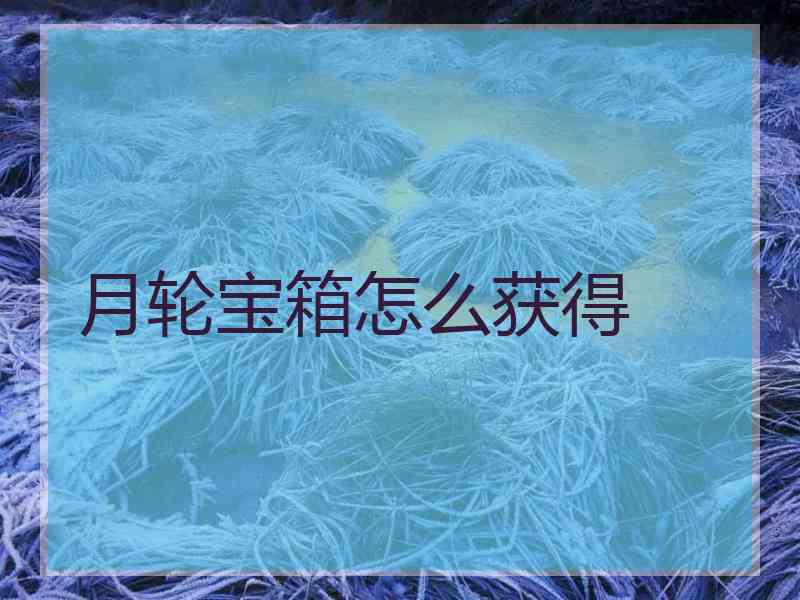 月轮宝箱怎么获得