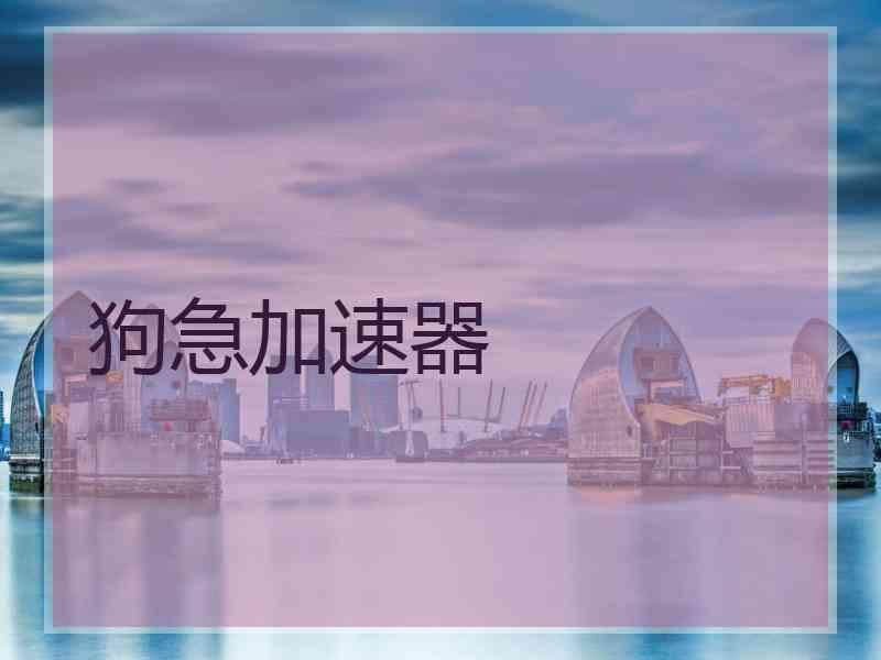 狗急加速器