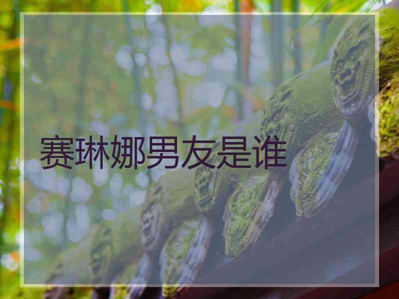 赛琳娜男友是谁