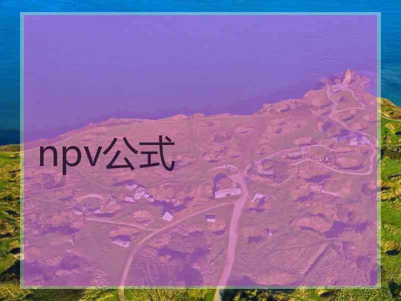 npv公式