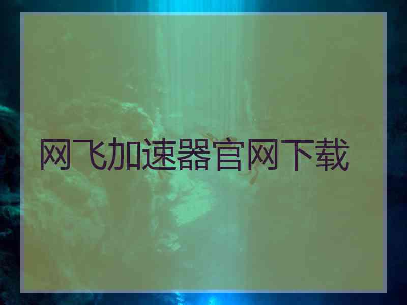 网飞加速器官网下载