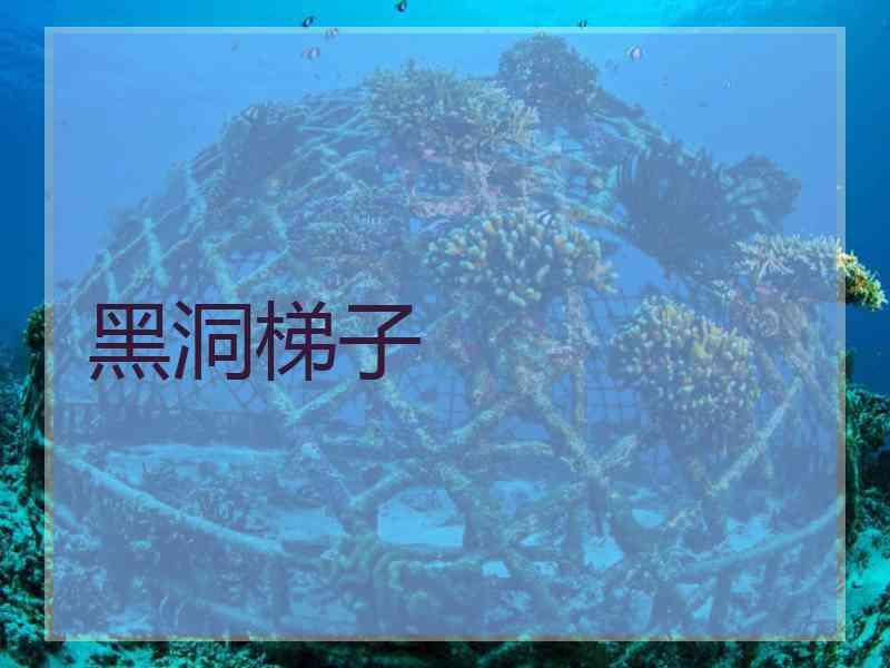 黑洞梯子