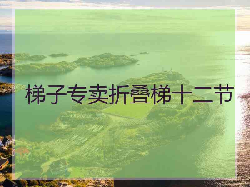 梯子专卖折叠梯十二节