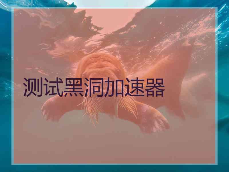 测试黑洞加速器