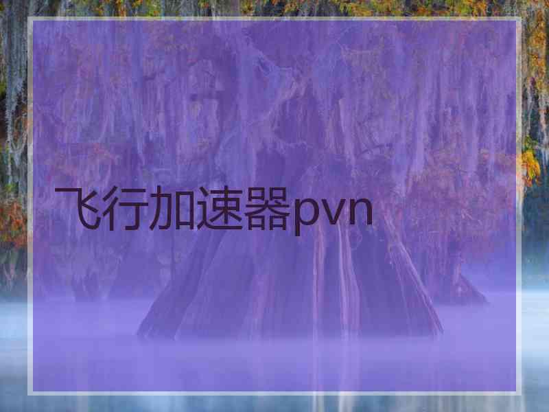 飞行加速器pvn