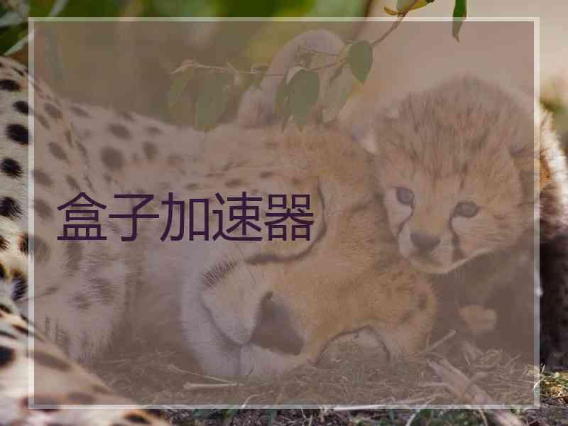 盒子加速器