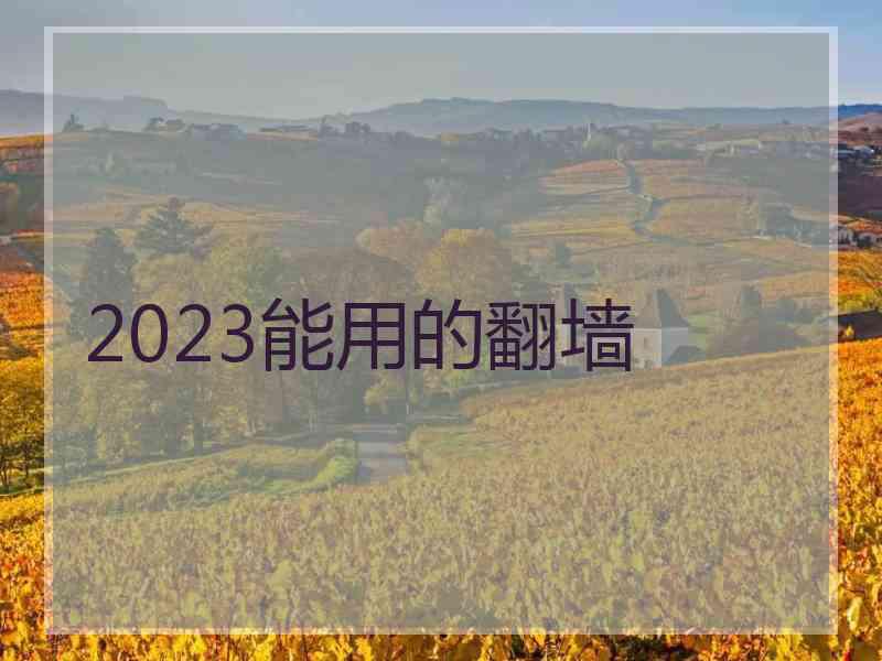 2023能用的翻墙