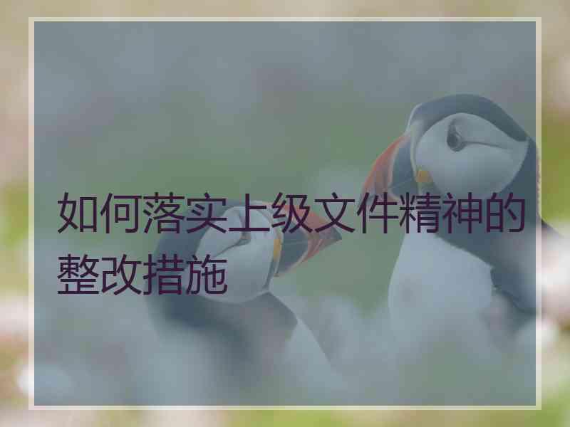 如何落实上级文件精神的整改措施