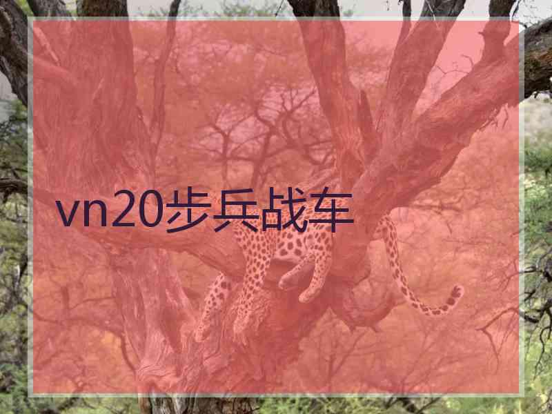 vn20步兵战车