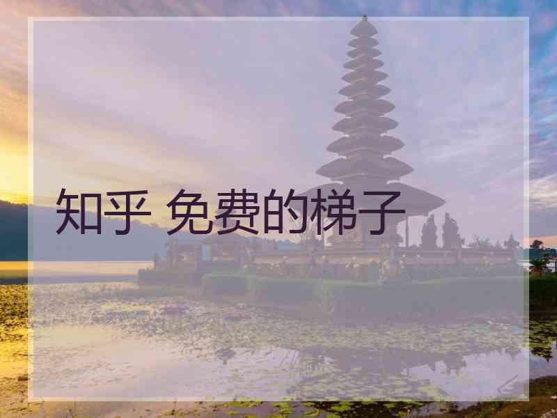 知乎 免费的梯子