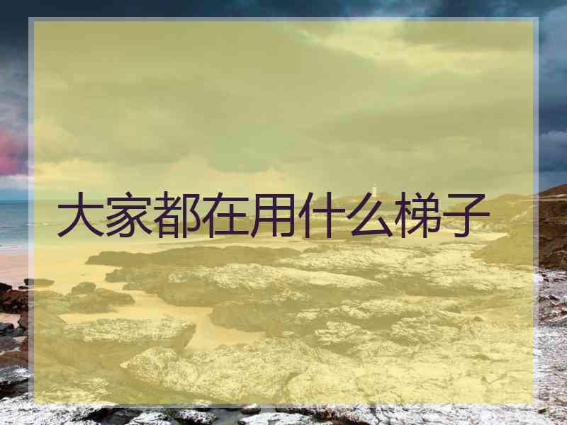 大家都在用什么梯子