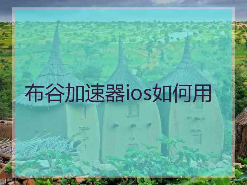 布谷加速器ios如何用