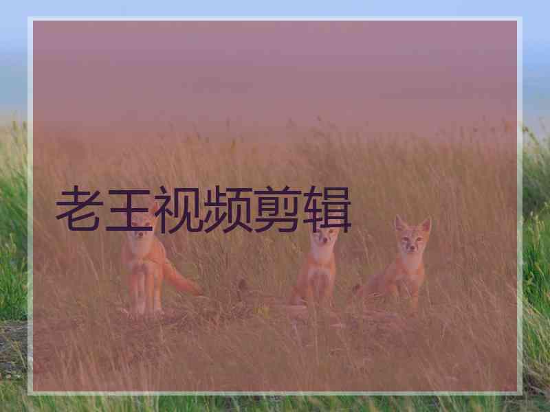 老王视频剪辑