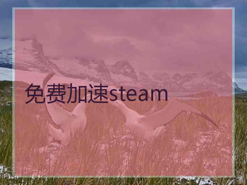 免费加速steam