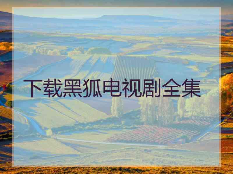 下载黑狐电视剧全集