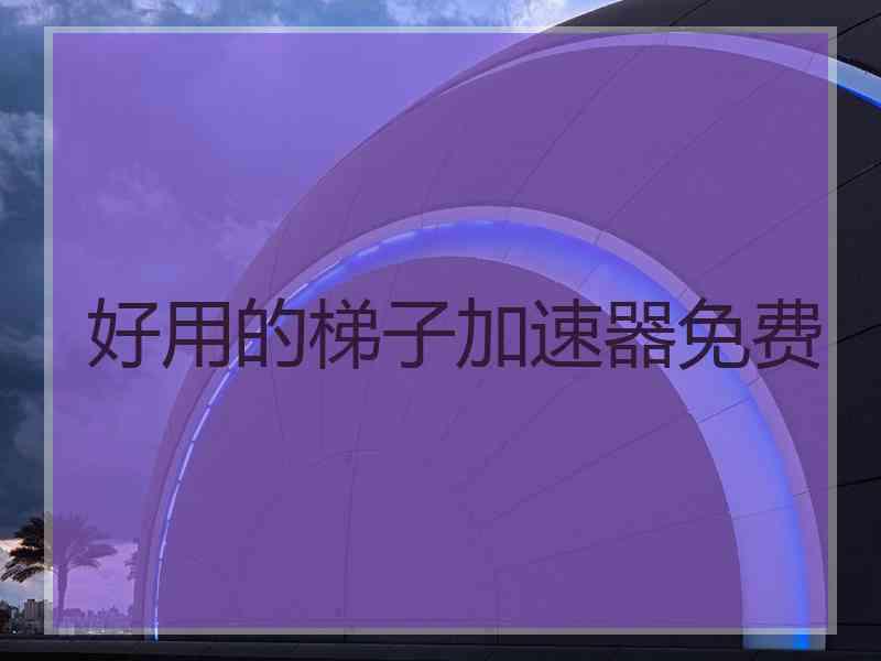 好用的梯子加速器免费