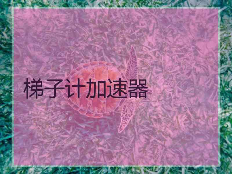 梯子计加速器