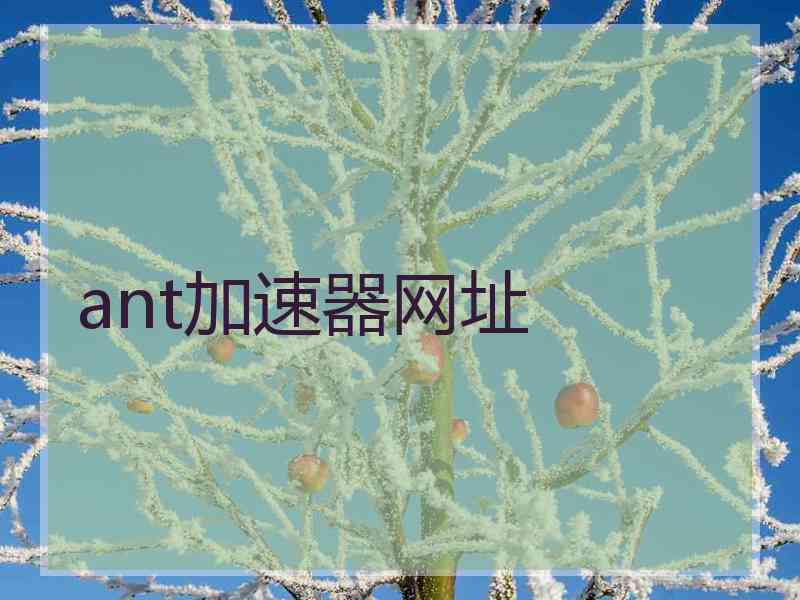 ant加速器网址
