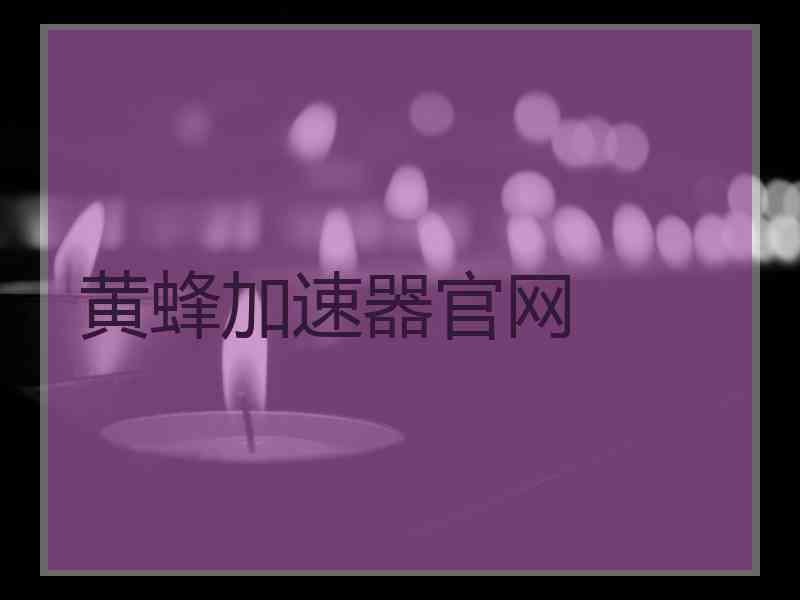 黄蜂加速器官网