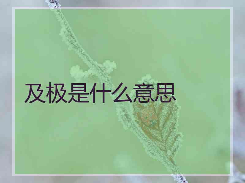 及极是什么意思